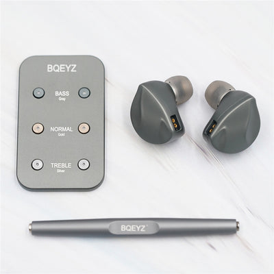 BQEYZ Autumn HiFi IEM Earphone Accessories Kit with Case and Ear Tips